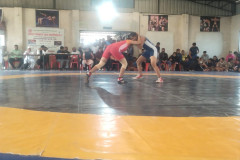 IMG-20221118-WA0016-Medium